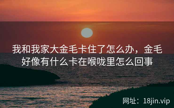 我和我家大金毛卡住了怎么办,金毛好像有什么卡在喉咙里怎么回事 我和我家大金毛卡住了怎么办,金毛好像有什么卡在喉咙里怎么回事