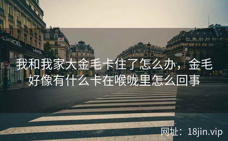 我和我家大金毛卡住了怎么办,金毛好像有什么卡在喉咙里怎么回事 我和我家大金毛卡住了怎么办,金毛好像有什么卡在喉咙里怎么回事