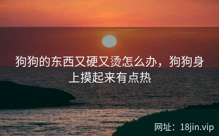 狗狗的东西又硬又烫怎么办，狗狗身上摸起来有点热