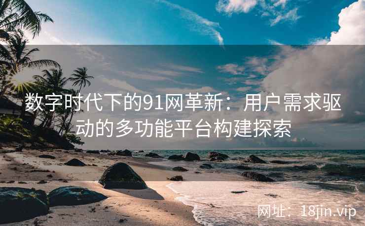 数字时代下的91网革新：用户需求驱动的多功能平台构建探索