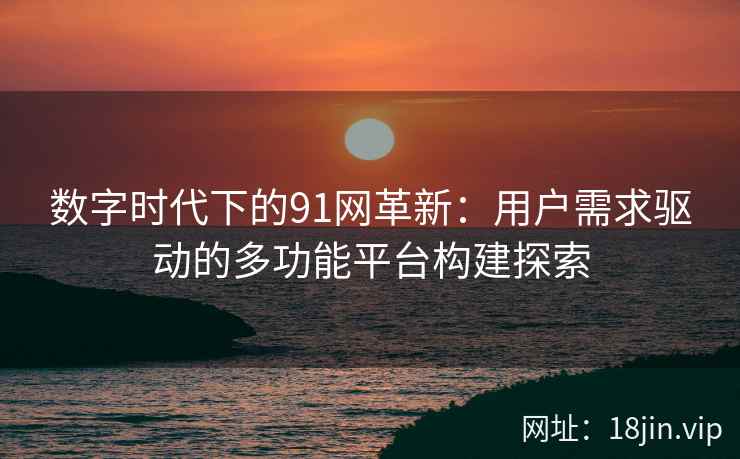 数字时代下的91网革新：用户需求驱动的多功能平台构建探索