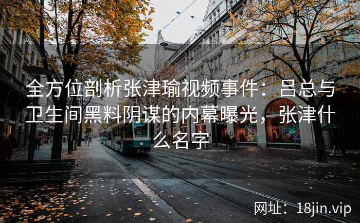 全方位剖析张津瑜视频事件：吕总与卫生间黑料阴谋的内幕曝光，张津什么名字